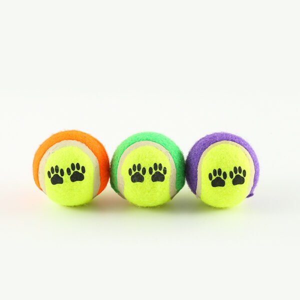 Outdoor Pet Throwing Cue Dog Training Toy - Image 4