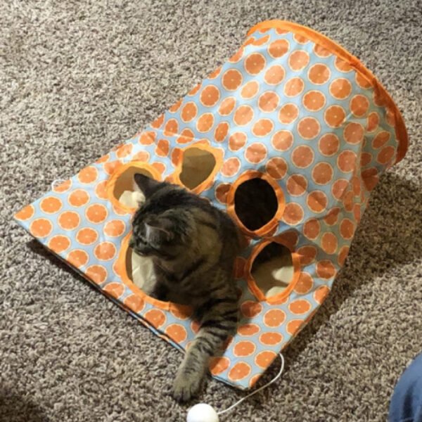 Fashion New Hot Selling Pets Toys Cat Diamond Bag Pet Products - Image 2