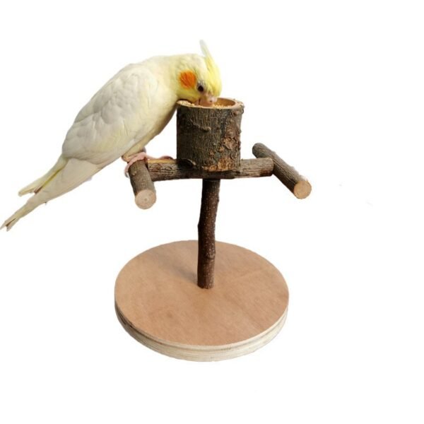 Solid Wood Parrot Station Frame Training Bird Shelf Parrot Toys - Image 2
