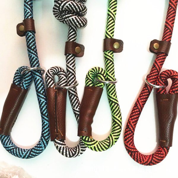 Pet Medium Dog Training Leash - Image 5