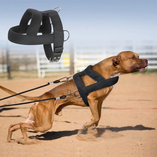 Dog Weight Pulling Harness Soft Padded Dogs Harnesses Pitbul - Image 7