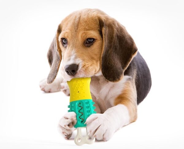 Summer Cooling Cleaning  Care  Teeth Pet Chewing Supplies - Image 2