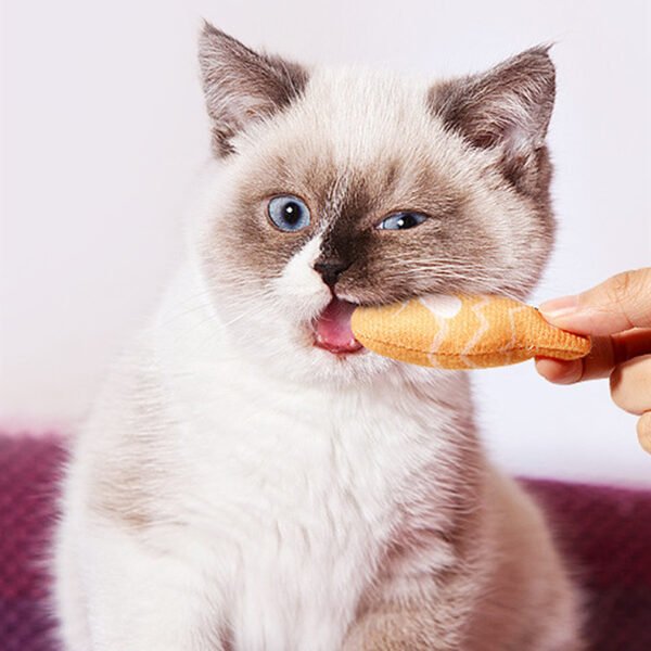Plush Simulated Fish Cat Toy Pet Products - Image 5