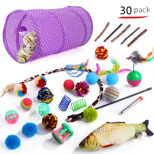 Pet Cat Toy Set 21 Pieces Of Cat Channel Funny Cat Stick - Image 6