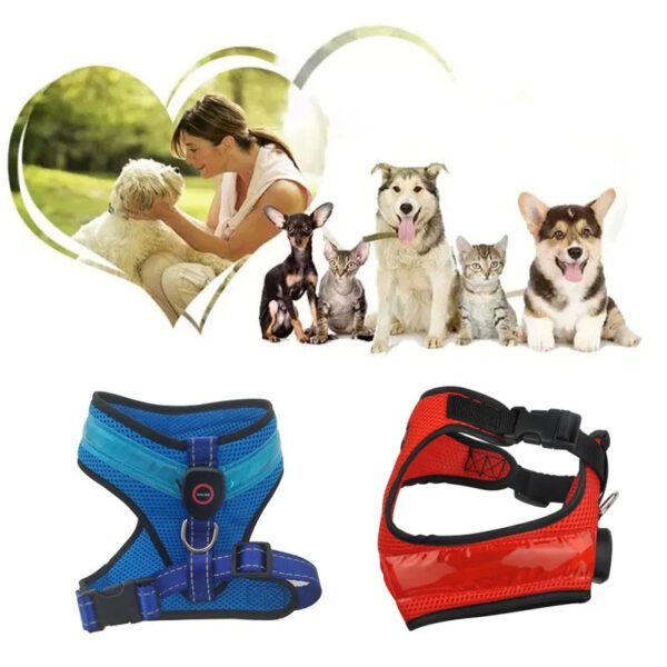 LED Luminous Dog Harness Led USB Charging Dog Chest Strap Vest Pet Safety Reflective Harness Pet Vest For Puppy Large Dog Pet Products - Image 2