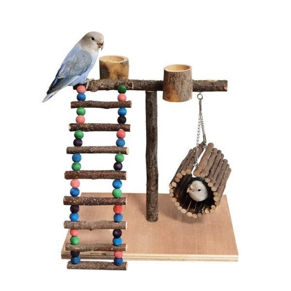 Solid Wood Parrot Station Frame Training Bird Shelf Parrot Toys - Image 6