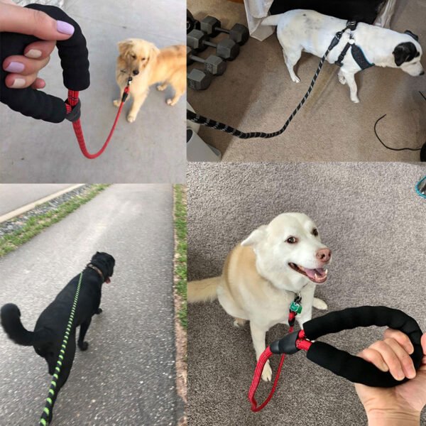 Small Medium Sized Pet Dog Luminous Leash Chain Puppies - Image 2