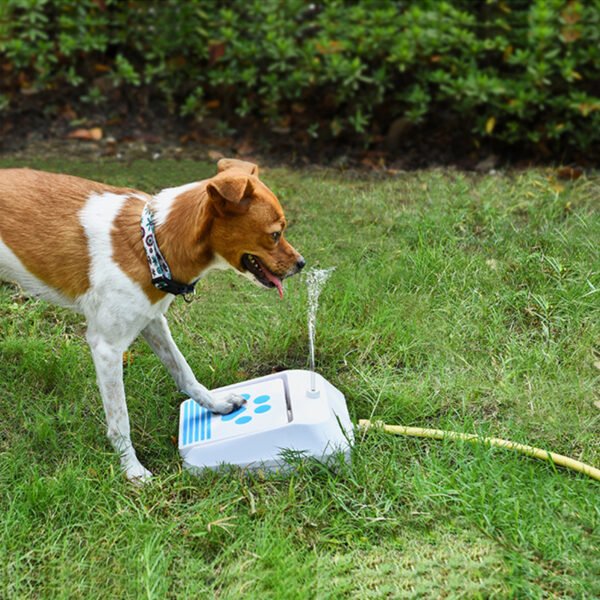 Outdoor Supplies Dog Water Feeder Smart Toy