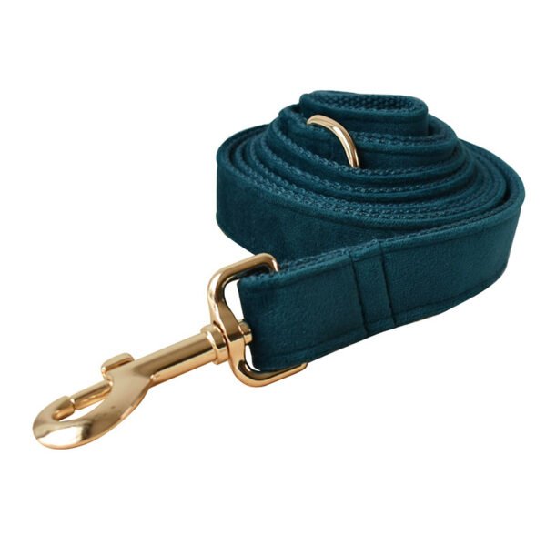 Dog Leash Pet Collar With Alloy Carabiner - Image 3