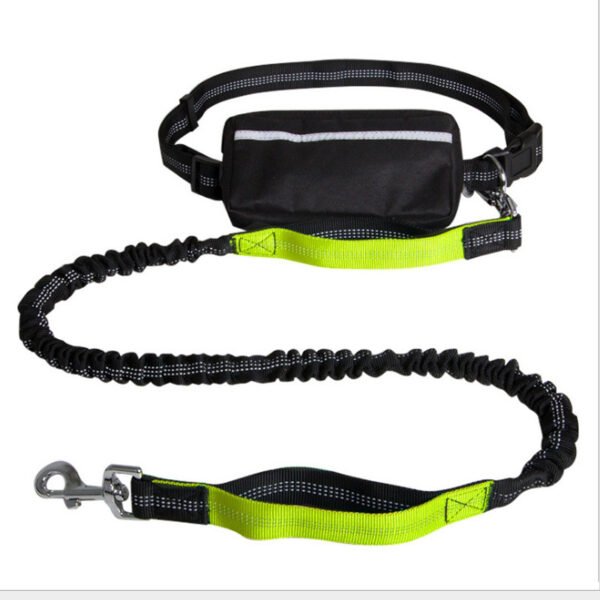 Nylon Reflective Retractable Running Hands Free Dog Leash - Image 5