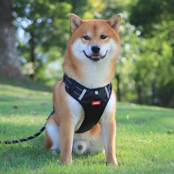 Nylon Dog Harness No Pull Breathable Reflective Pet Harness Vest For Small Large Dog Outdoor Running Dogs Training Accessories - Image 9