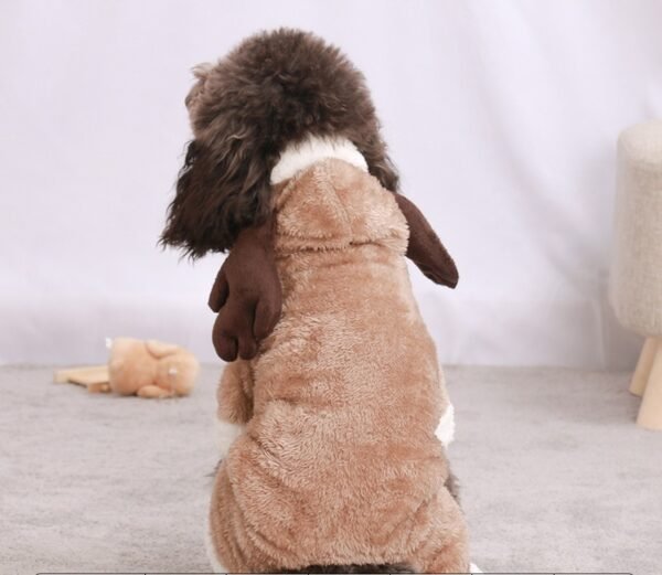 Autumn And Winter Transformed Into Dog Pet Costumes - Image 5