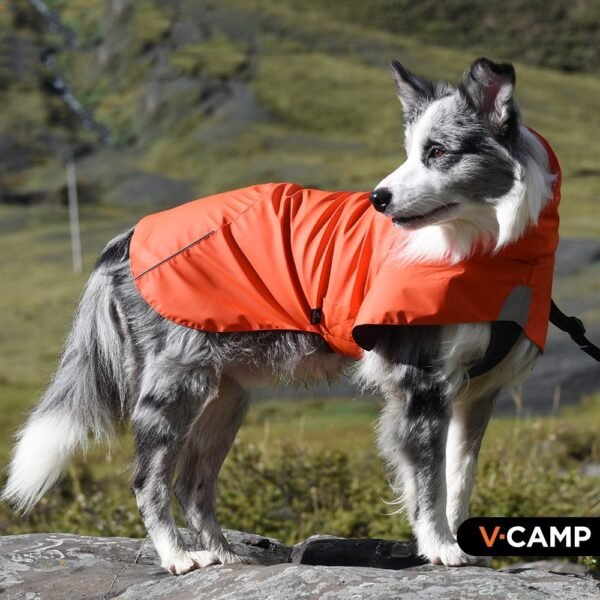 Pet Shell Jacket Dog Waterproof Windproof Raincoat - Image 3