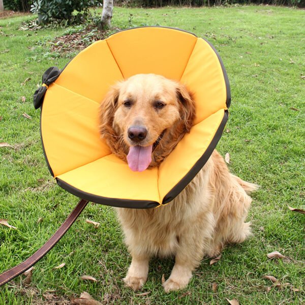 Pet Supplies Dog Sick Care Collar - Image 3