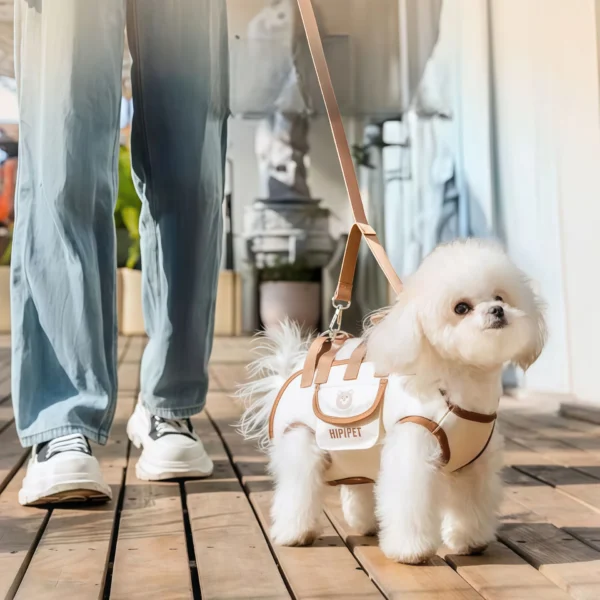 Dog Lift Harness Backpack for Small Dogs Sling Carrier with Handle Leash Cats Carrying - Image 4