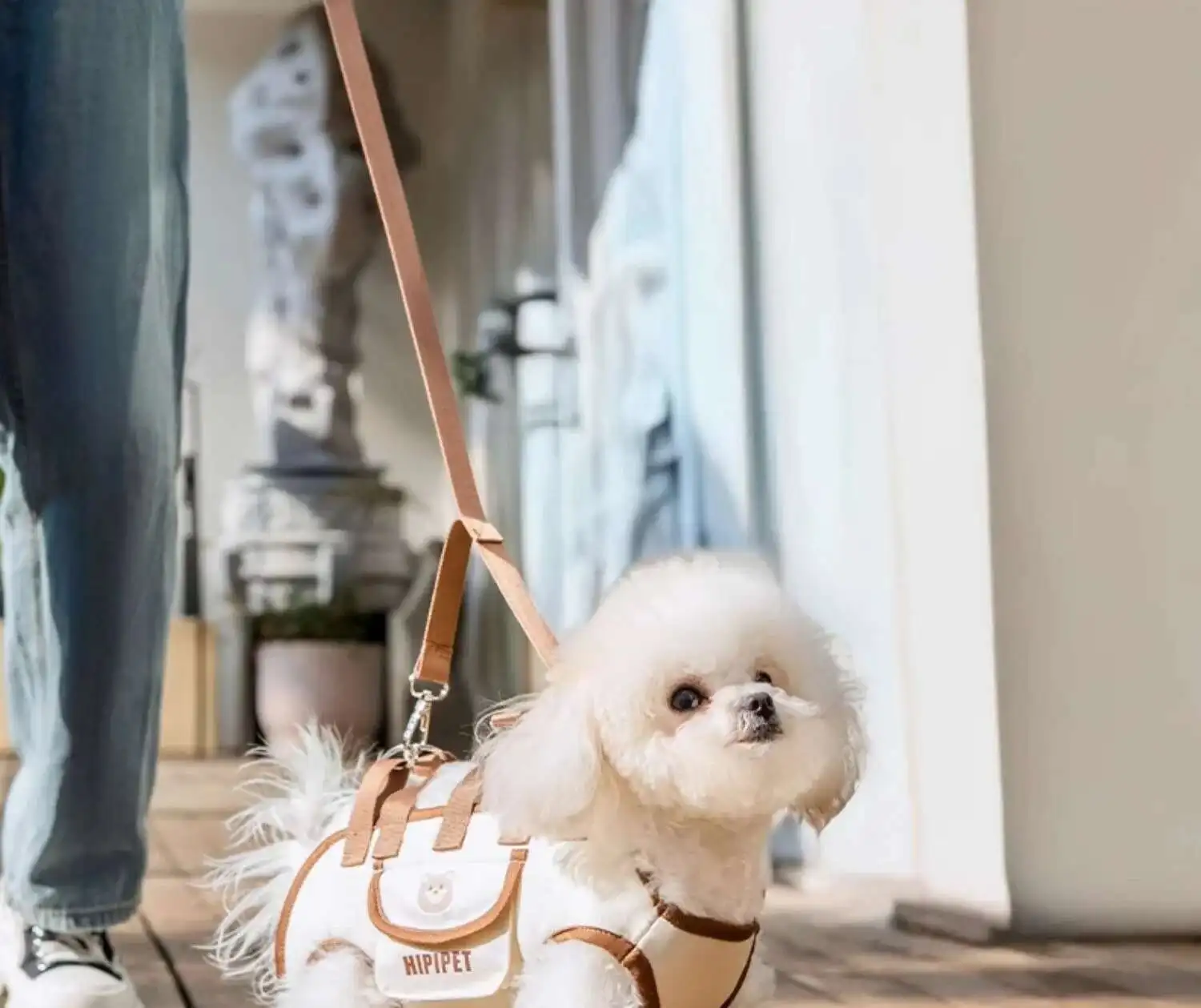 Dog Lift Harness Backpack for Small Dogs Sling Carrier with Handle Leash Cats Carrying 11 kf S680995eda5af45c790bdfa80451ff719s