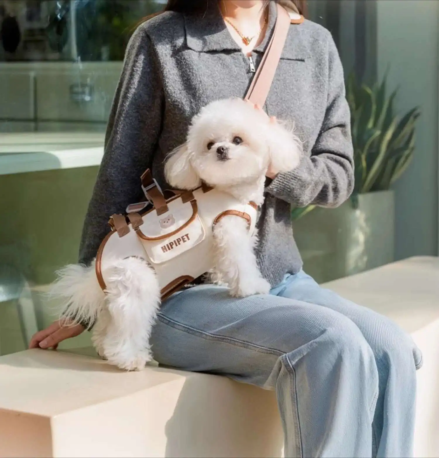 Dog Lift Harness Backpack for Small Dogs Sling Carrier with Handle Leash Cats Carrying 14 kf S6da55cc2b7d74247bef89800411bab91J