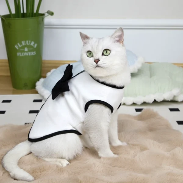 Luxury Dog cat Dress Bowknot Lace Summer Puppy Clothes Skirts Cotton T Shirt Girls Dog Costume Chihuahua Bichon Dog Apparel - Image 3