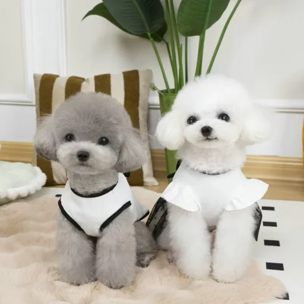 Luxury Dog cat Dress Bowknot Lace Summer Puppy Clothes Skirts Cotton T Shirt Girls Dog Costume Chihuahua Bichon Dog Apparel - Image 4