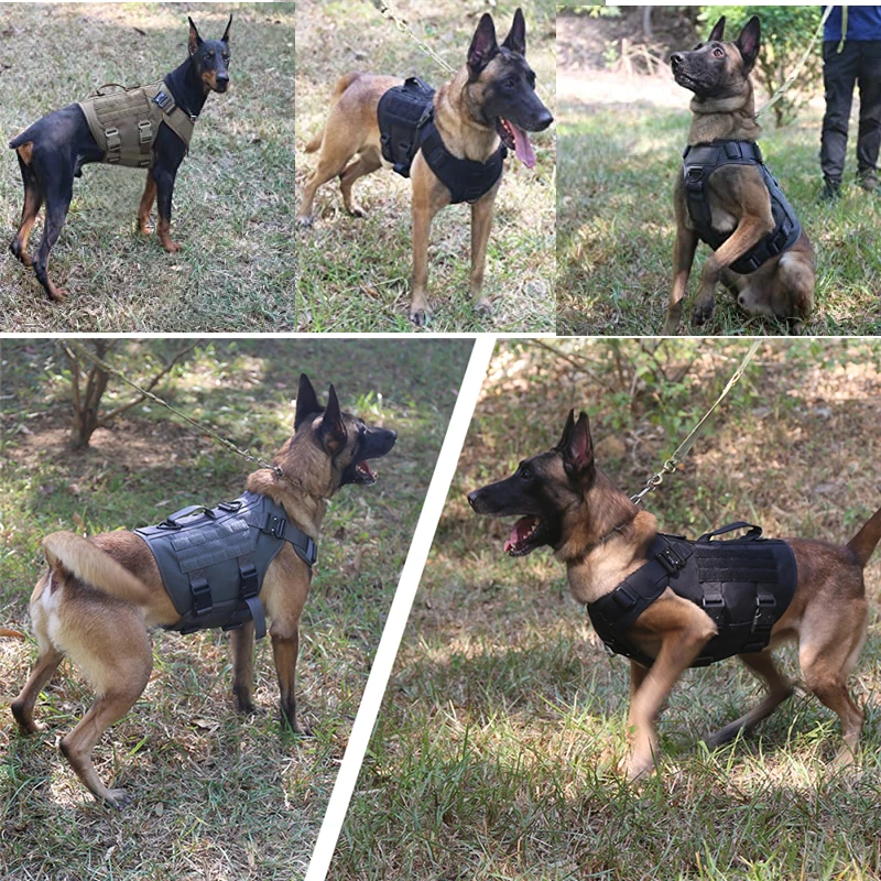 Tactical Military Vest Pet German Shepherd Golden Retriever Tactical Training Dog Harness and Leash Set For All Breeds Dogs 25 kf S7a83fda05f34443bb124f332434bc3e0k