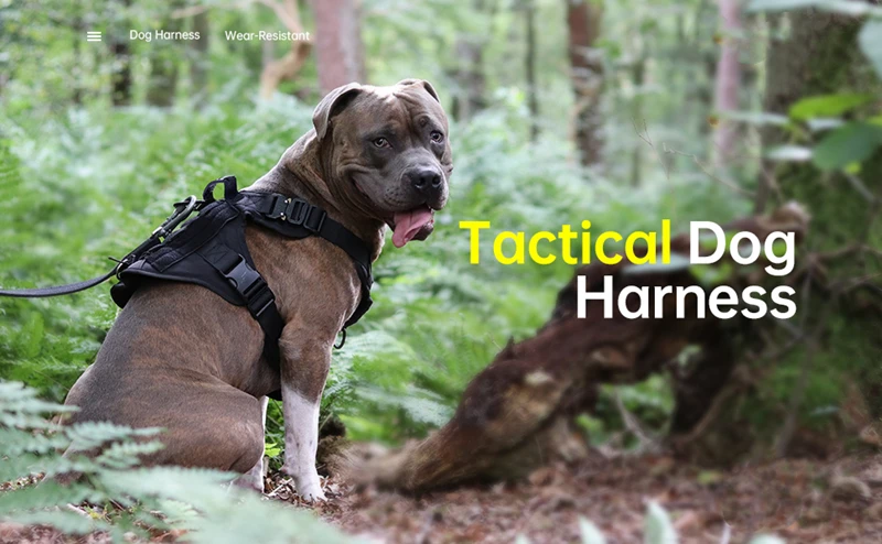 Tactical Military Vest Pet German Shepherd Golden Retriever Tactical Training Dog Harness and Leash Set For All Breeds Dogs 23 kf S8462eda8d73e43d293fb56f7b840122dW
