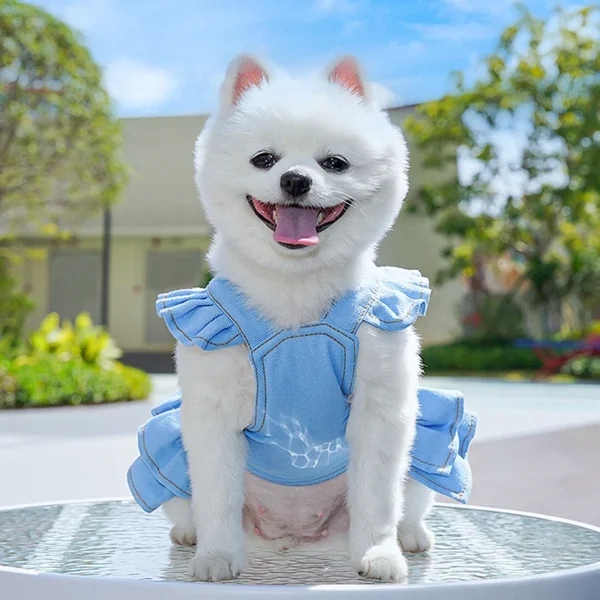 Cute Small Dog Dress Dog Denim Overalls Dress Spring Summer Apparel for Chihuahua Yorkie Bichon Frise - Image 2