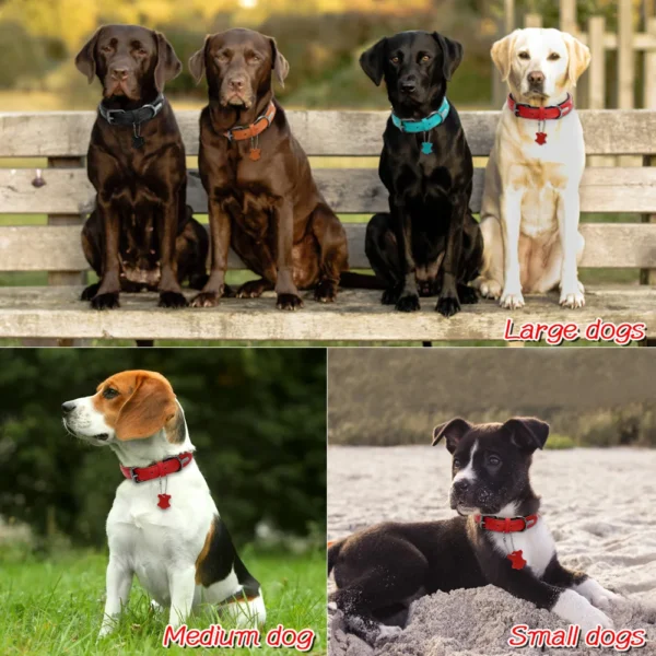 Soft Padded Dog Collar Leather Dog Collars Adjustable Pet Necklace Accessories For Small Medium Large Dogs Pug French Bulldog - Image 5