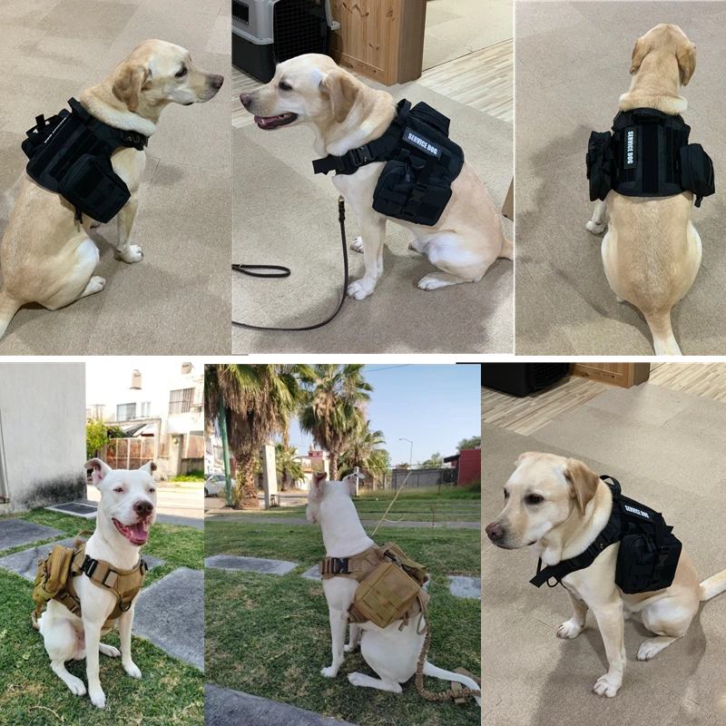 Tactical Military Vest Pet German Shepherd Golden Retriever Tactical Training Dog Harness and Leash Set For All Breeds Dogs 26 kf Sa779b4e33f9f4c09a6ab2c47735b4c4eH