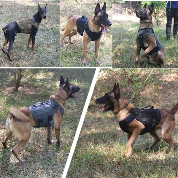 Tactical Military Vest Pet German Shepherd Golden Retriever Tactical Training Dog Harness and Leash Set For All Breeds Dogs - Image 5