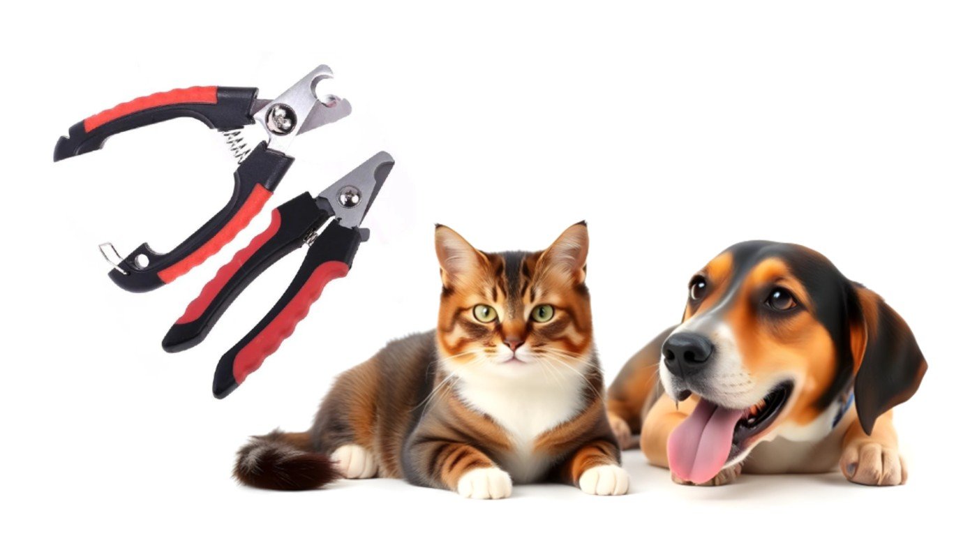 Pet